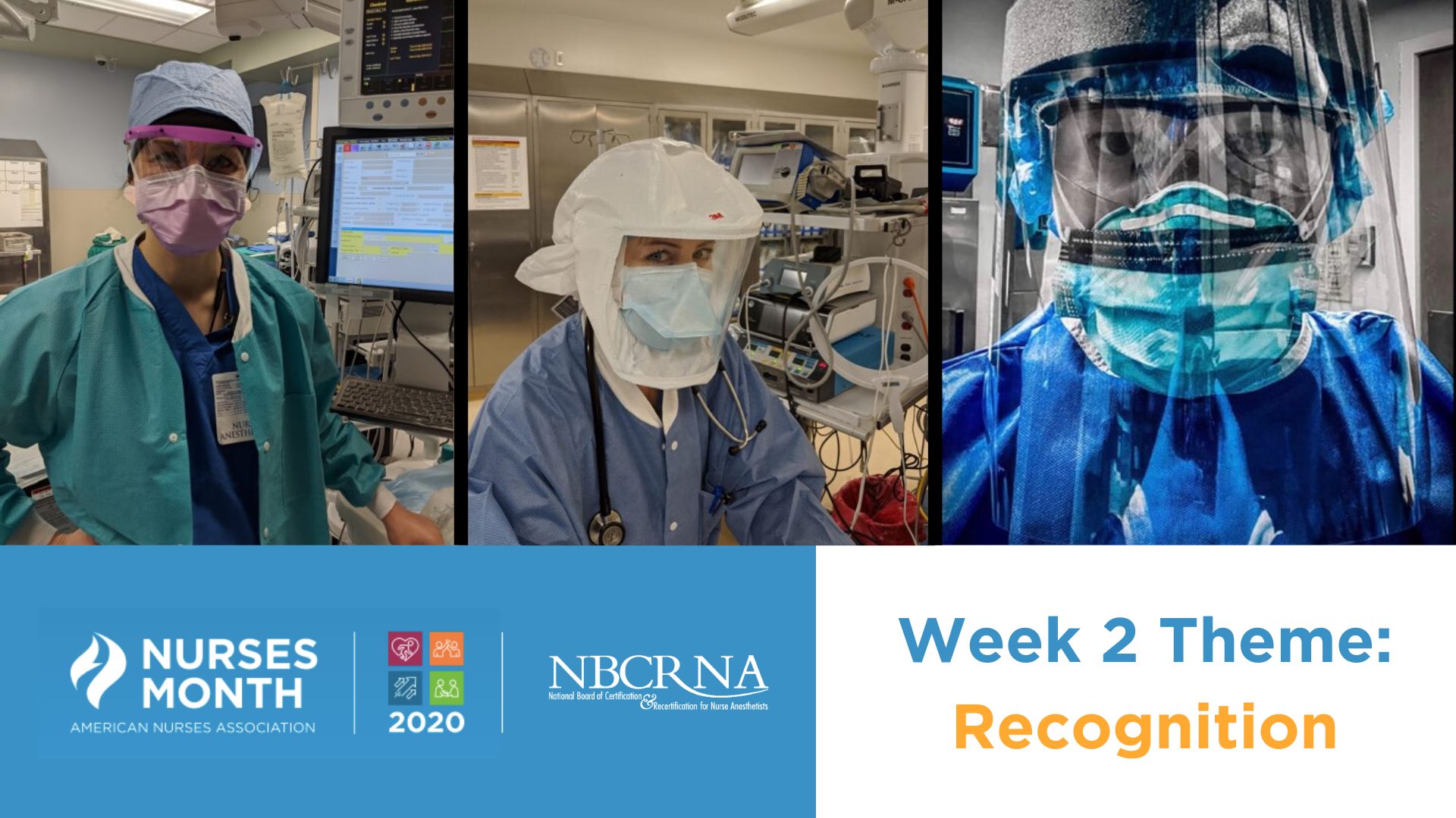 NNM Week 2 NNM Week 2